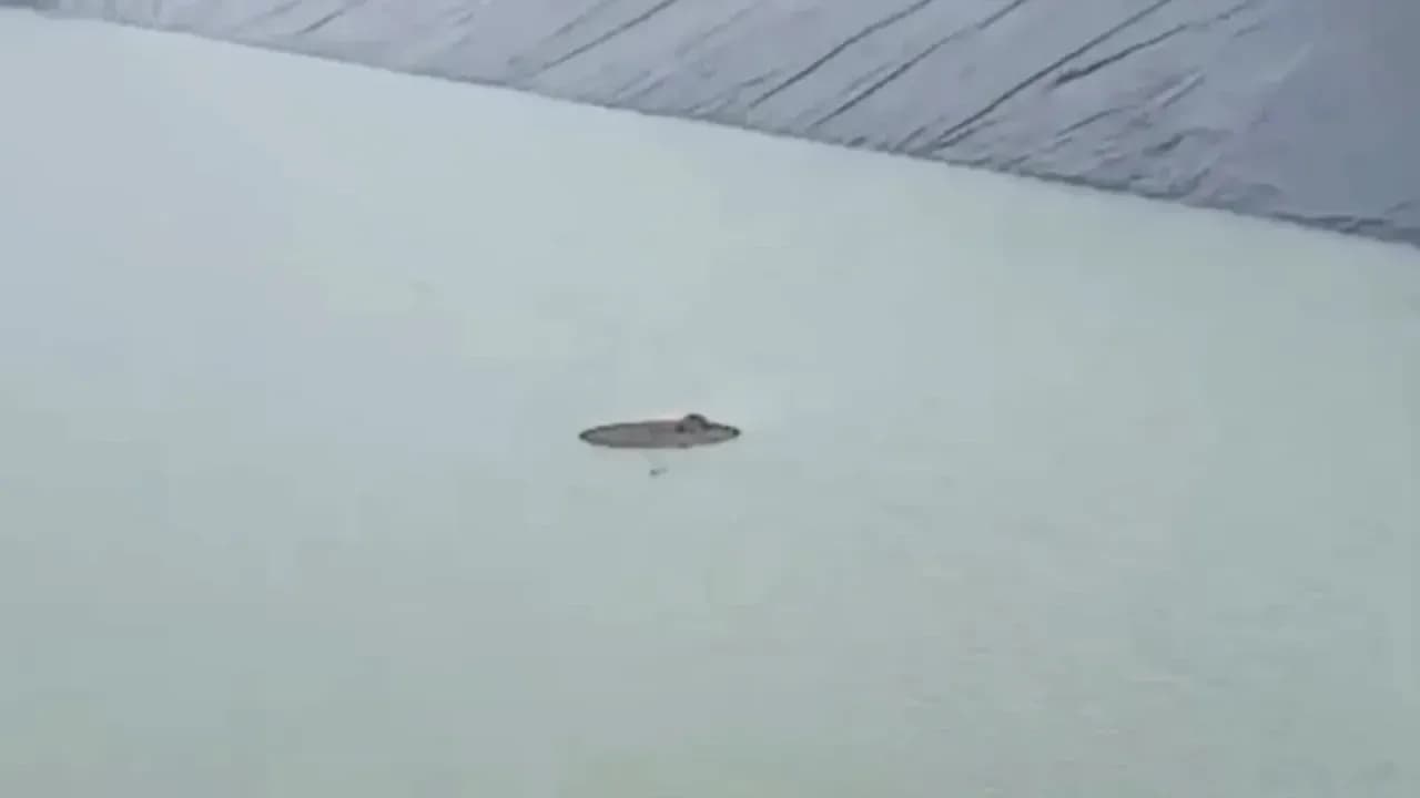 Şanlıurfa’daki bu görüntü ekipleri harekete geçirdi!