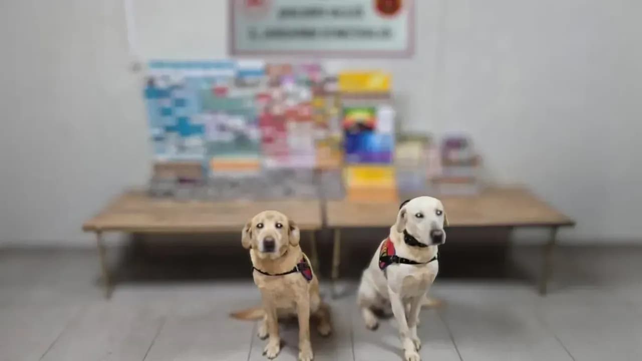 Kaçak ticaretine darbe! Urfa'da 27 şüpheli yakalandı!