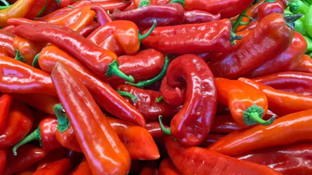Dünyanın En İyi Biber(İsot) Listesine Şanlıurfa Damgasını Vurdu!