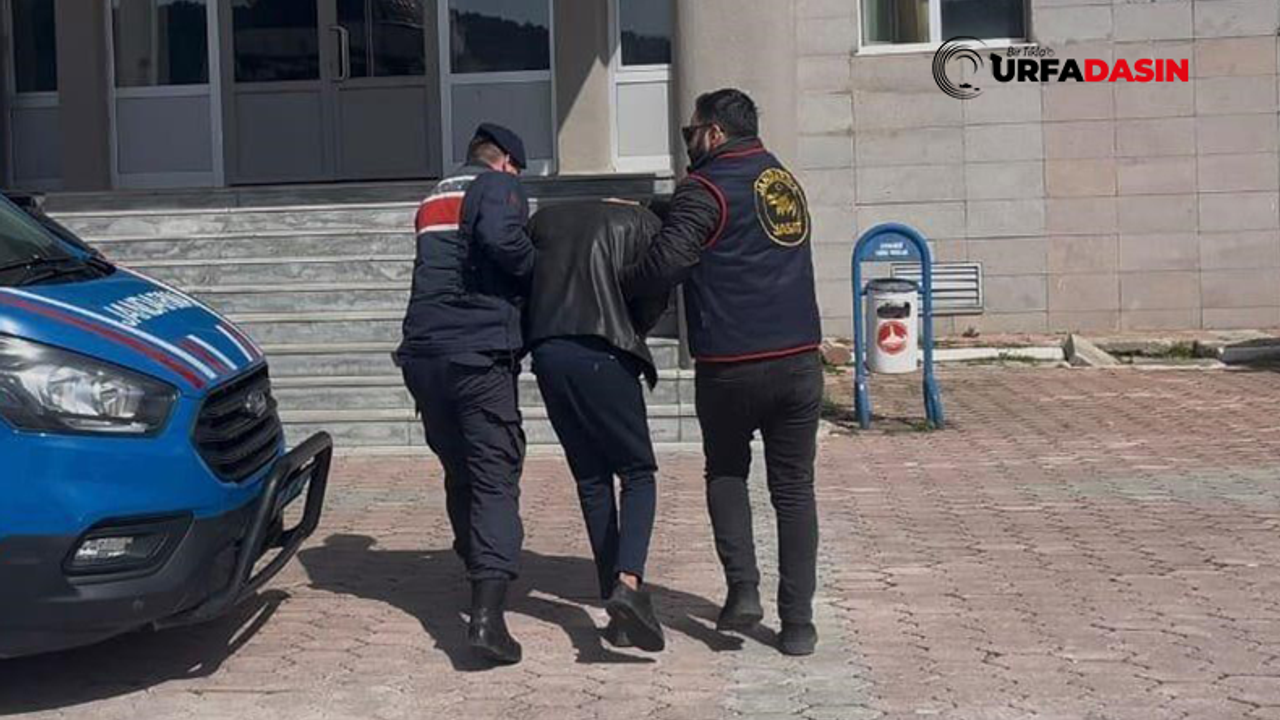 Şanlıurfa'da Dolandırıcı "Sahte Komiserlere" Operasyon: 2 Tutuklama