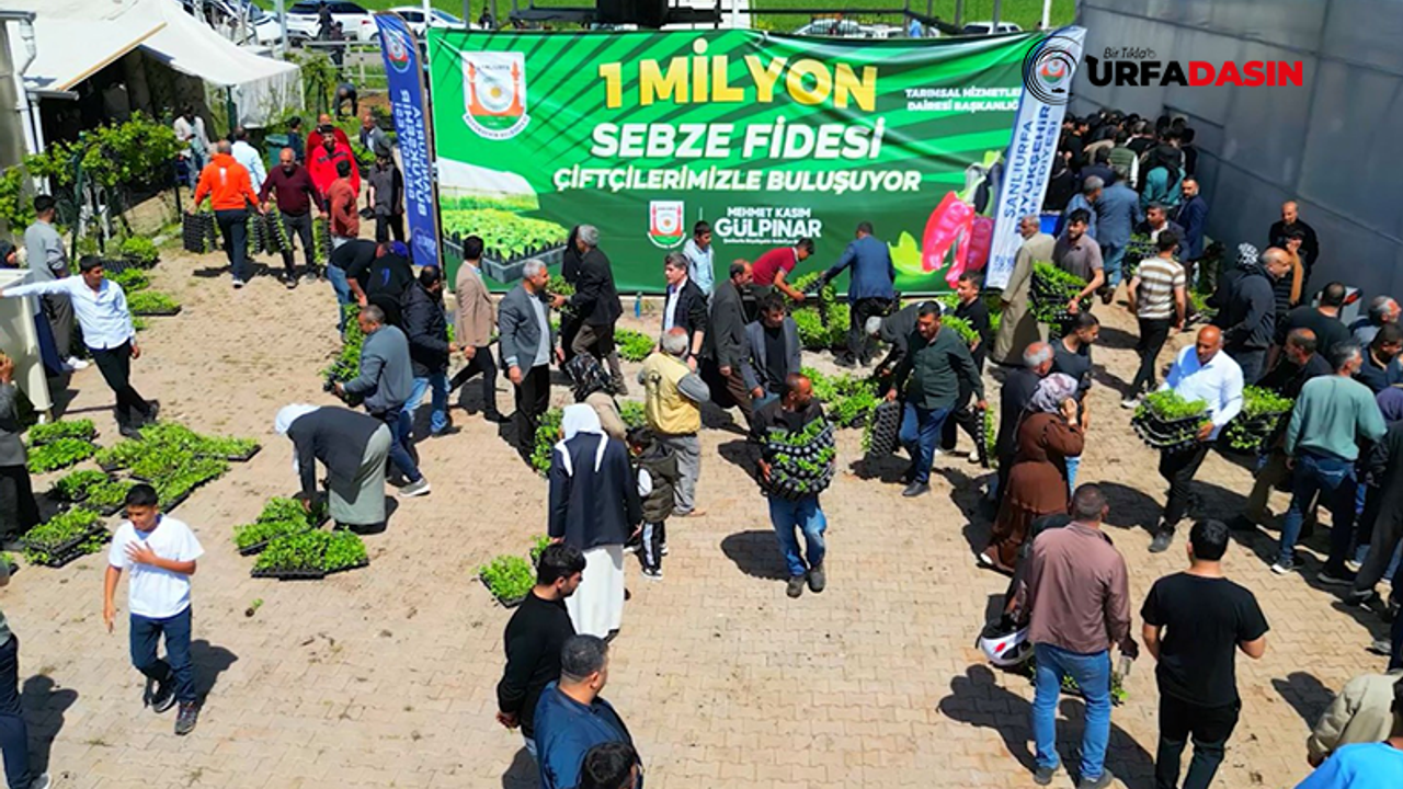 Şanlıurfa'da Üreticiye 1 Milyon Sebze Fide Dağıtıldı