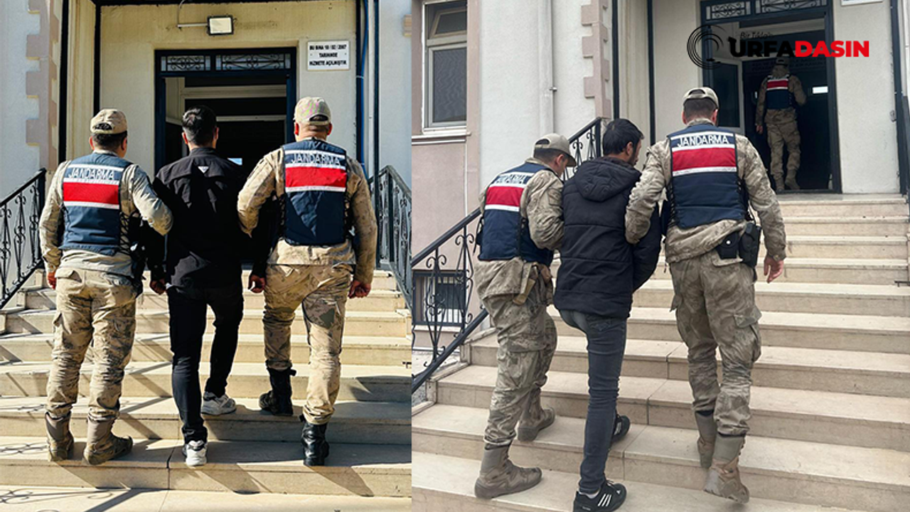 Şanlıurfa Dolandırıcılık ve Vergi Kaçırmaktan Aranan 2 Firari Yakalandı