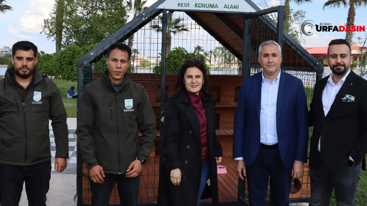 Şanlıurfa’da Sokak Kedileri İçin Önemli Bir Projeyi Hayata Geçirdi
