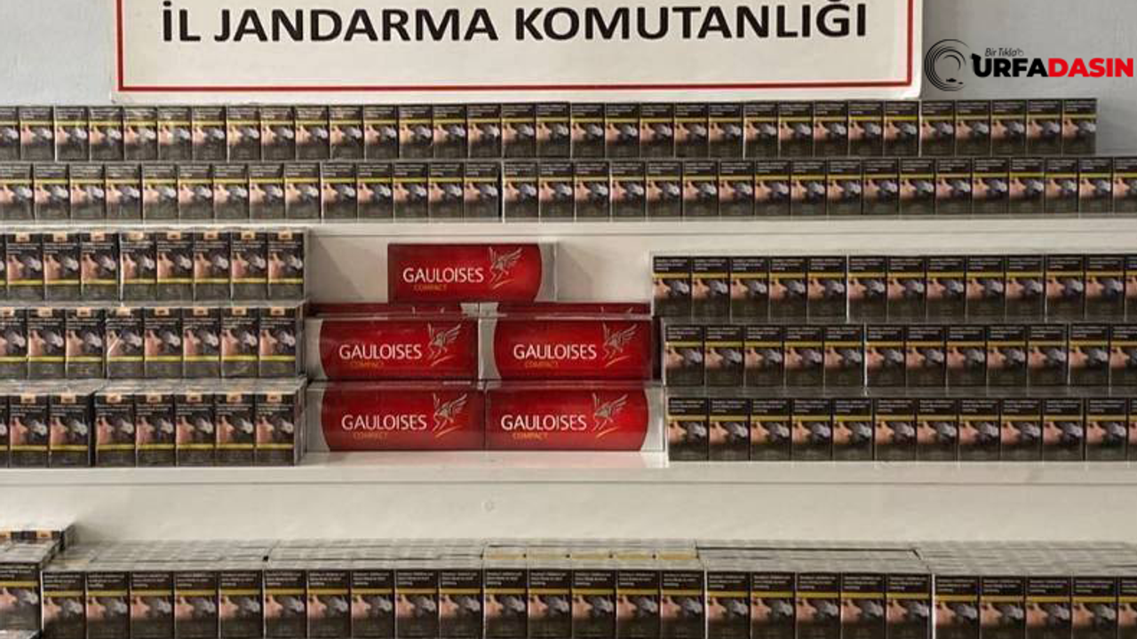 Şanlıurfa Viranşehir’de 4 bin 900 Paket Kaçak Sigara Ele Geçirildi