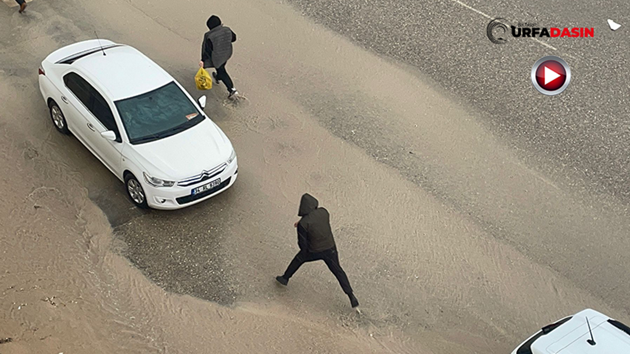 Şanlıurfa'da Aniden Bastıran Sağanak ve Dolu Hazırlıksız Yakaladı