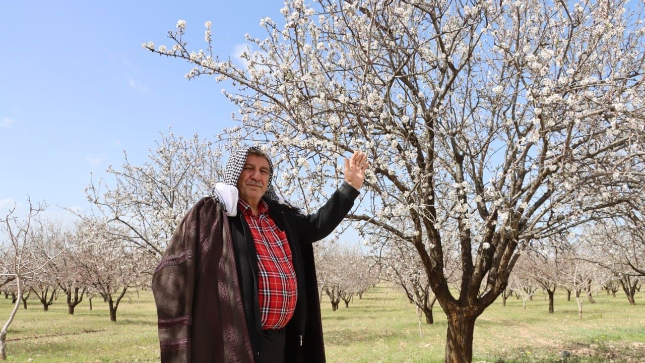 Şanlıurfa Zirveye Koşuyor: Güneydoğu’nun Yeni Gücü