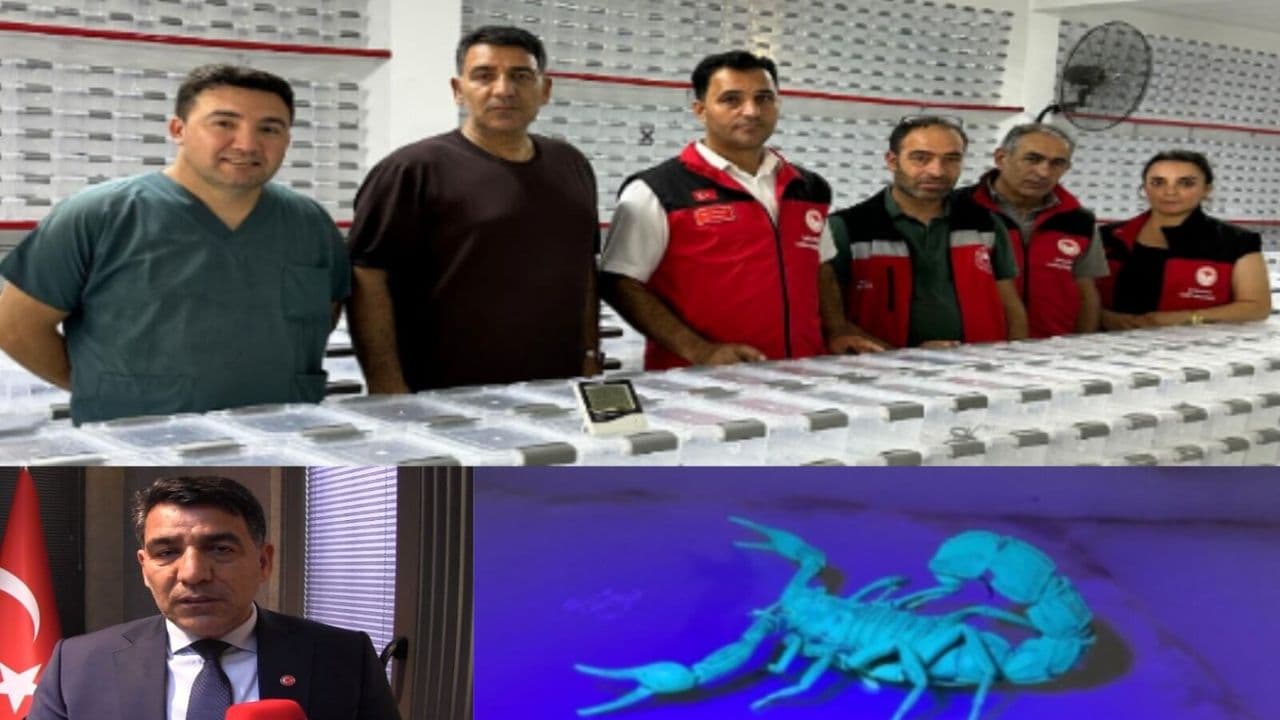 Şanlıurfalı firmadan estetikte dikkat çeken yenilik: Akrep zehrinden botoks kremi