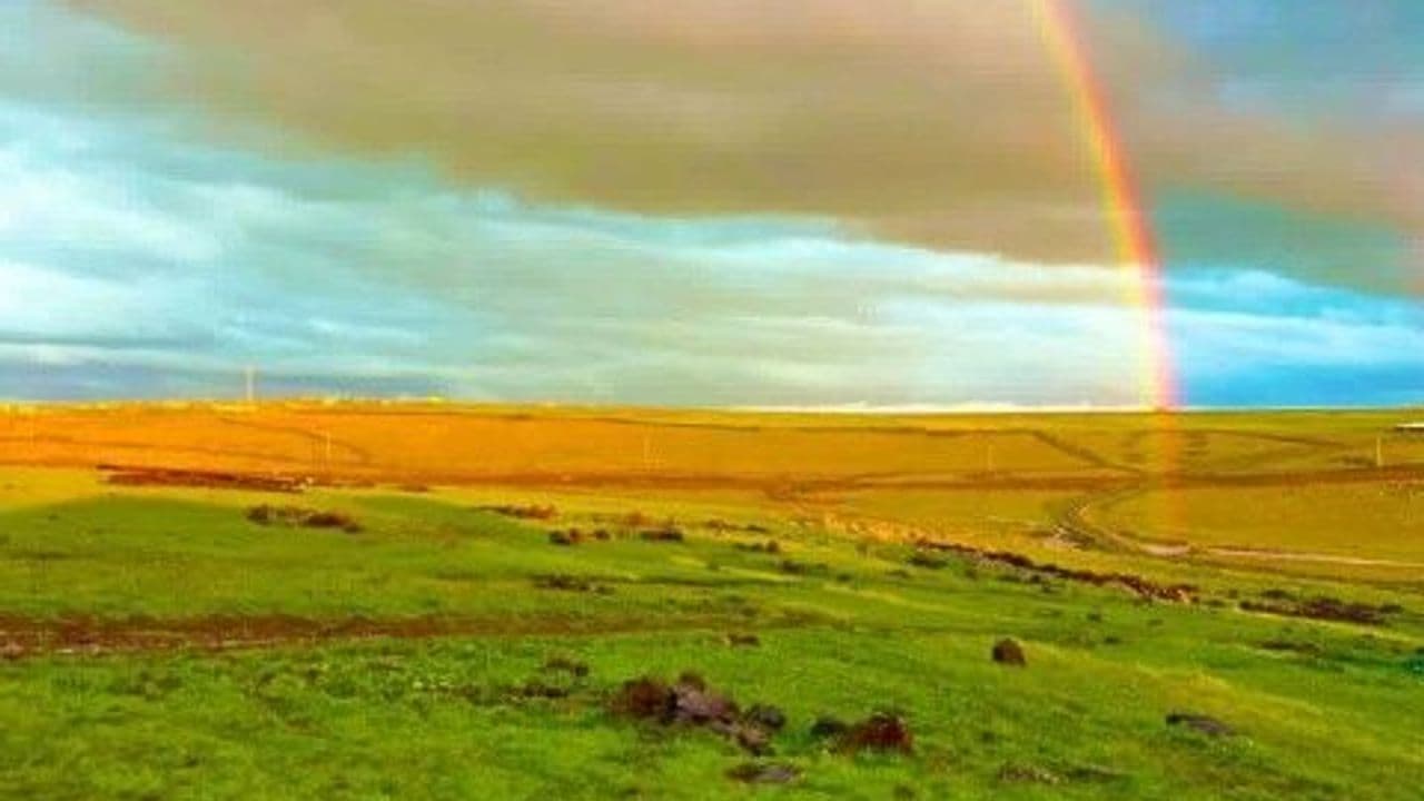 Siverek’te doğadan görsel şov: “Mest etti”