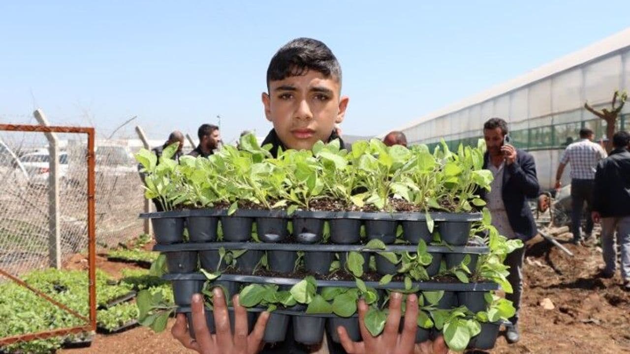 Şanlıurfa’da Çiftçilere 1 Milyon Fide Desteği!