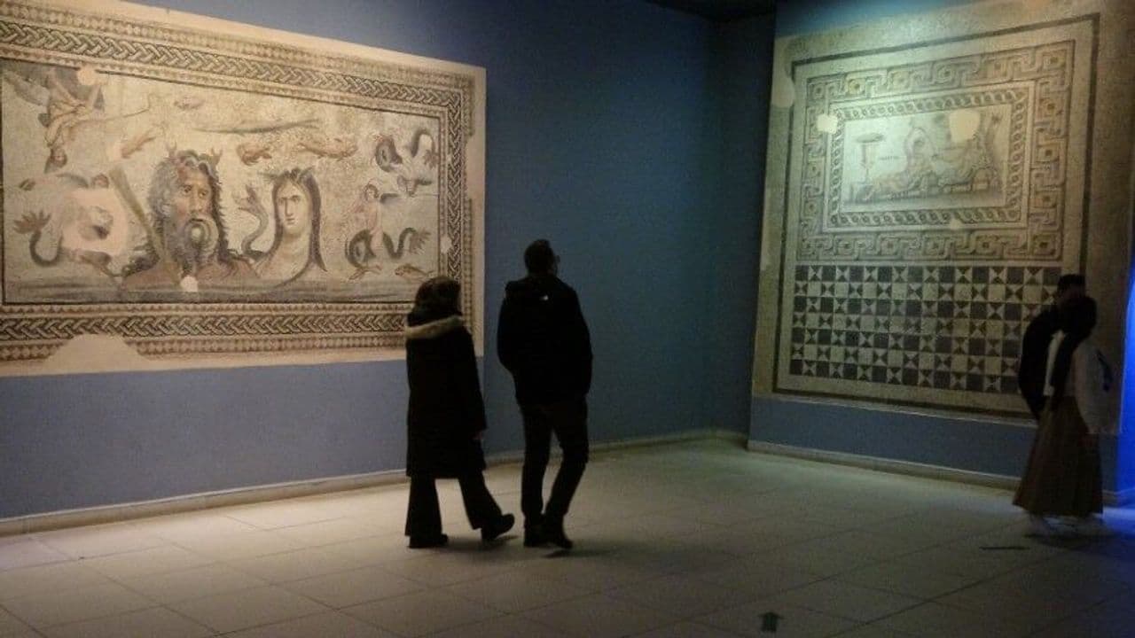 Şanlıurfa ve bölge illerden Zeugma mozaik müzesine yoğun ilgi