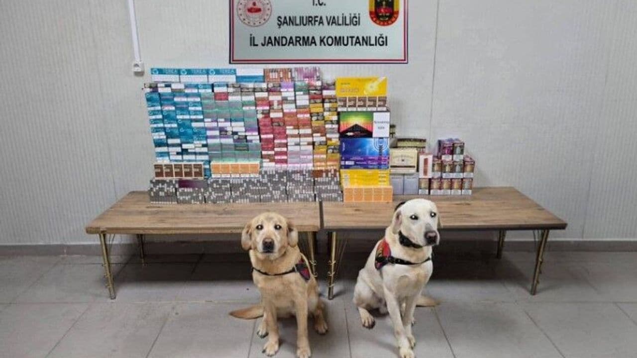 Şanlıurfa’da kaçakçılara geçiş yok: 27 gözaltı!