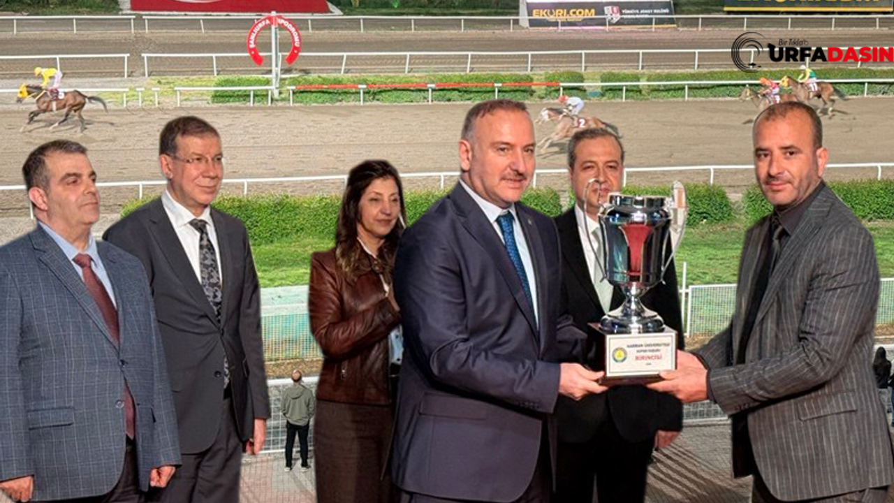 Atlar Bu Kez Harran Üniversitesi İçin Koştu