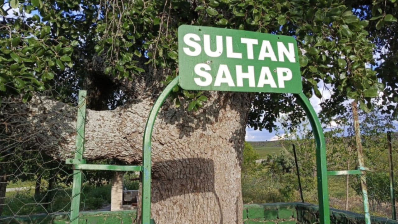 Siverek'in Esrarengiz Ziyaretgahı: Dileği Olan Oraya Gidiyor