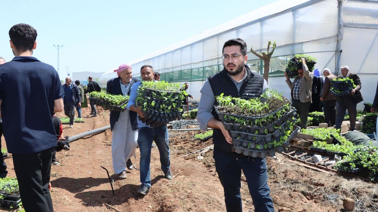 Büyükşehir'den üreticiye can suyu! Tam 1 milyon adet dağıtıldı